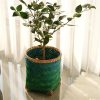 Handwoven Bamboo Trash Can - Small Round Wicker Waste Basket for Bedroom, Bathroom, Office & Desktop - Natural Rattan Storage Basket & Garbage Can for Kitchen, Living Room (M) - Image 2